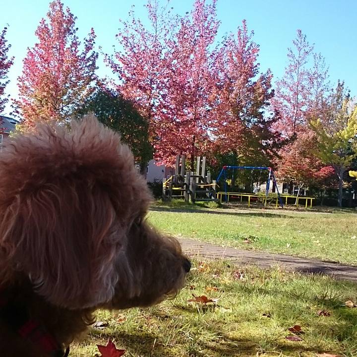 862a9a40 3aea 439e 907e effdf3fbbd53