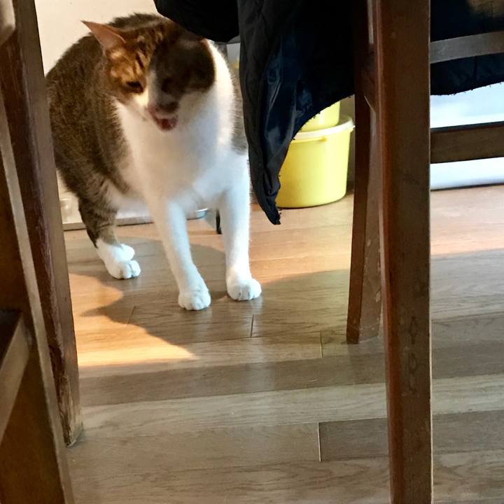 862bcbaa 5248 4f6a bd74 939bb590f8a1