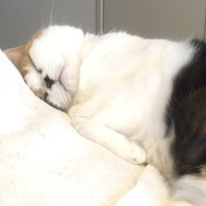 862d4441 5b58 4aff 929d e74b20b50326