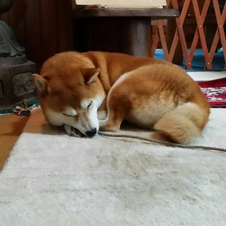 862d4dc7 40c7 4439 8f2c f2e53943bddf