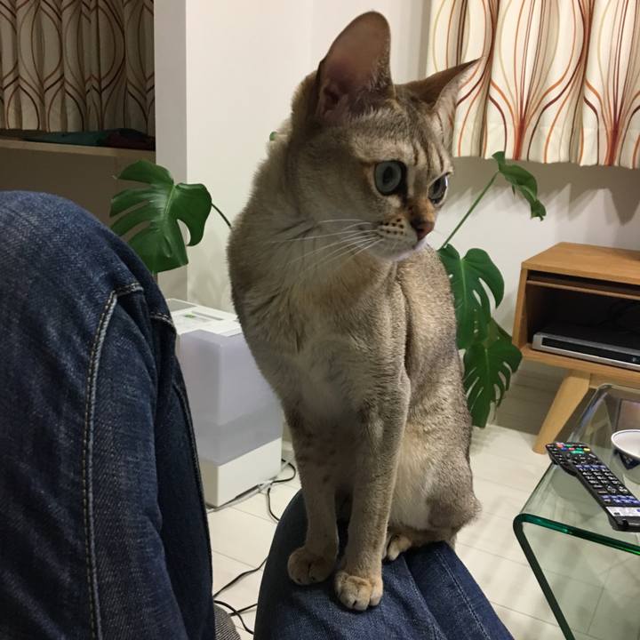 862dc592 2e7a 4cc5 bbc2 b3616a693dfe