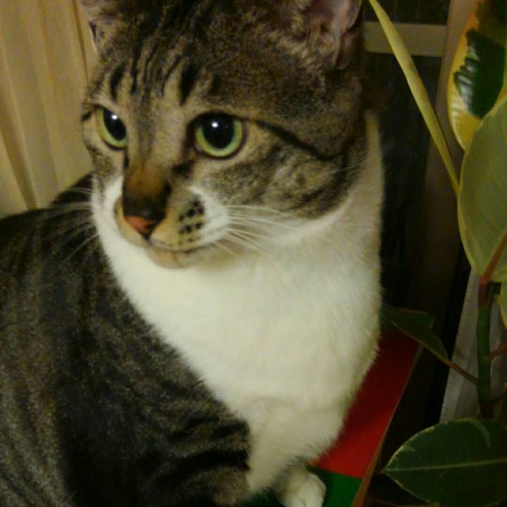 862dfa0f 267f 4c9e 86dc 1dfbac42f5f6