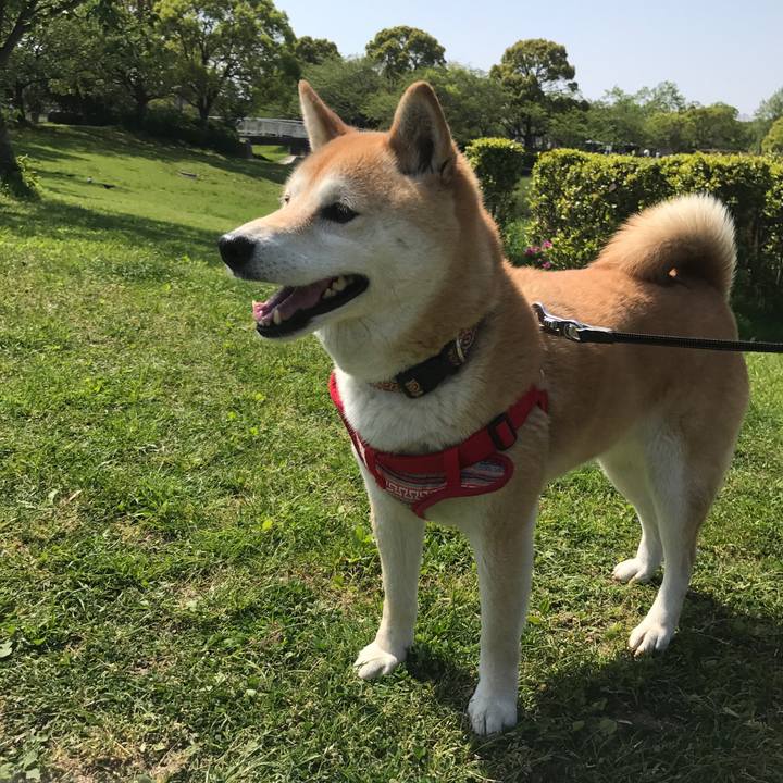 862f1ca2 ead3 4671 8428 98e5c4045d5f