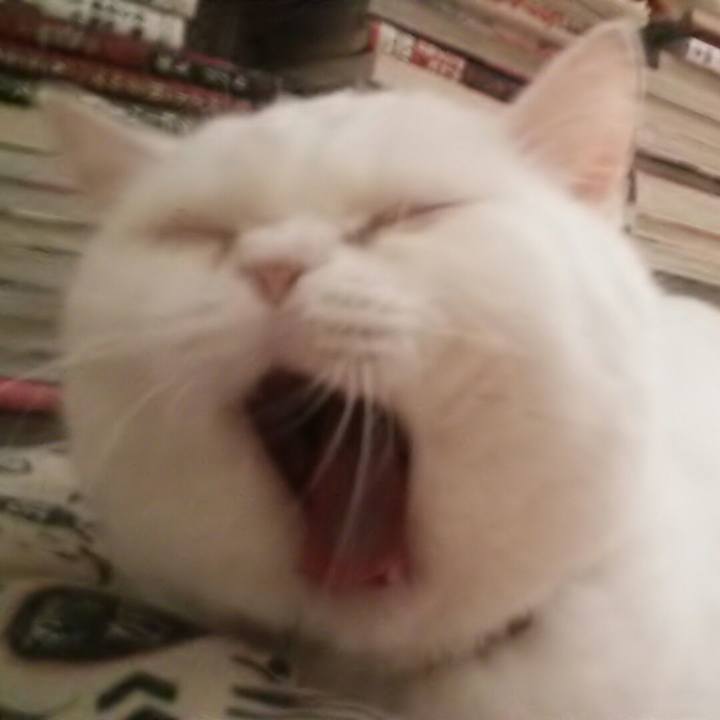 862f24e5 c160 420c beb2 194c12a67793