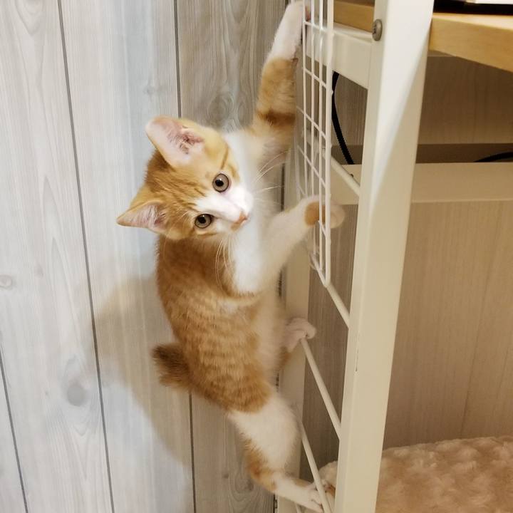 862f68c5 4d08 4863 a3db 9fd671cb1825