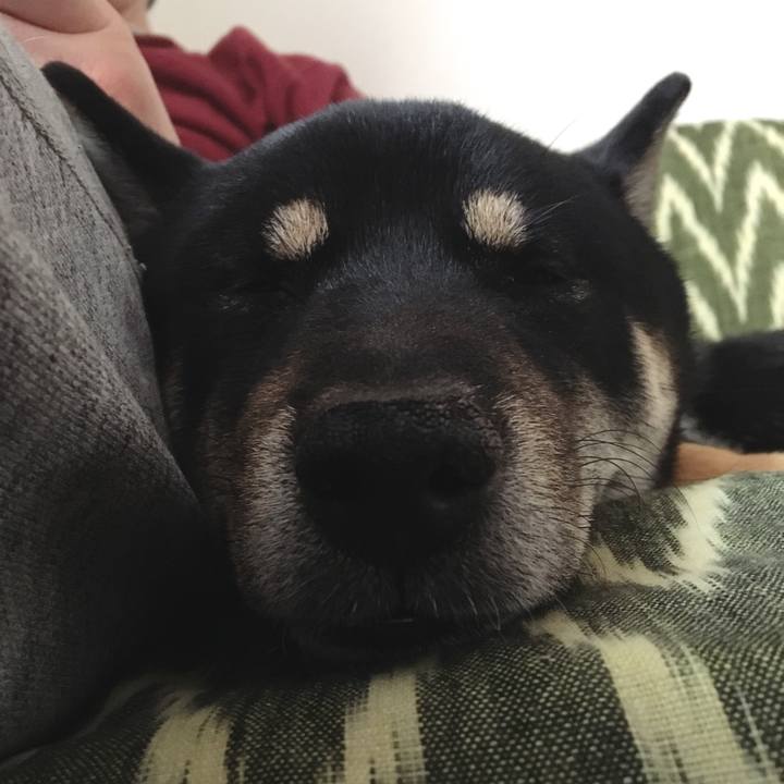 862f7141 577b 4f47 aa70 c232efb0664c