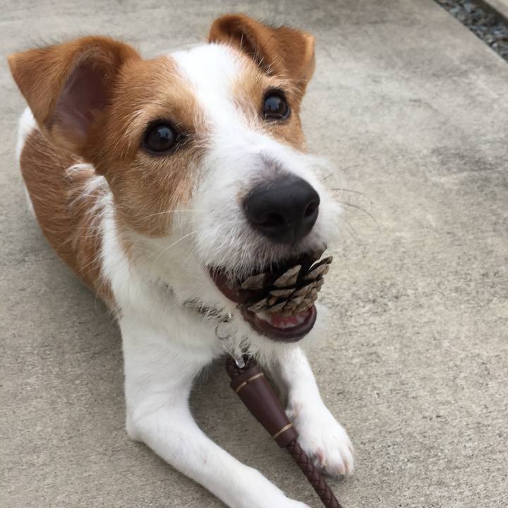 862fcf2c 2c7e 4aff abae 886d10567c62