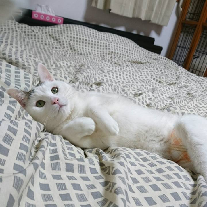 862ff1b3 1dc9 4310 9214 a898a8f89393