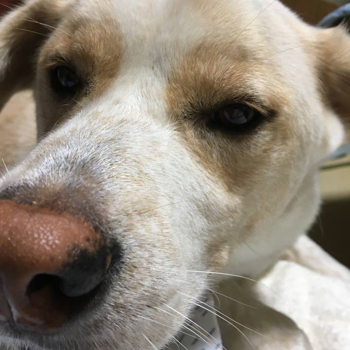 86301131 19ac 48ff 8ad0 799ddd060ca1