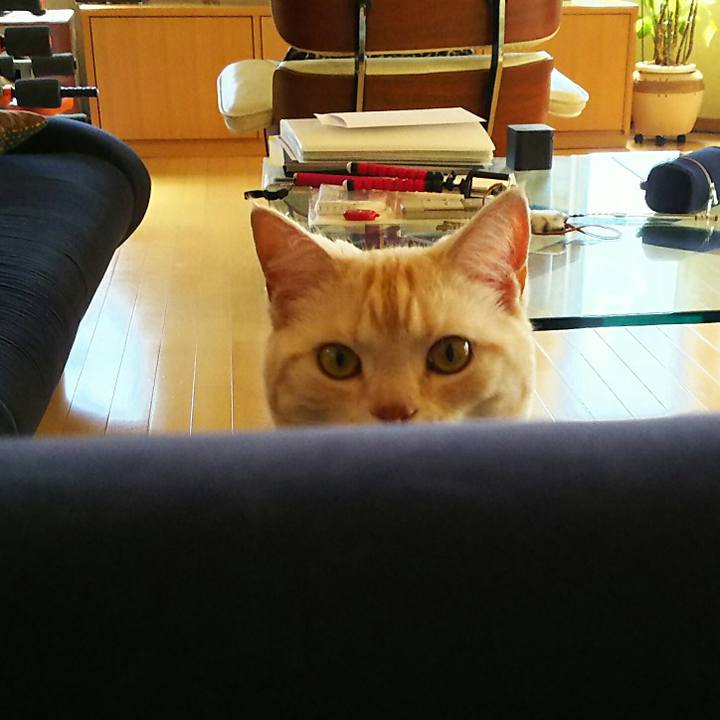 86302297 6e89 41b8 b053 376626bc0ec8