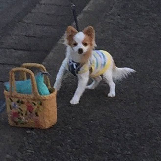 863036e1 1eab 4a15 897a 0efa71dbeefa