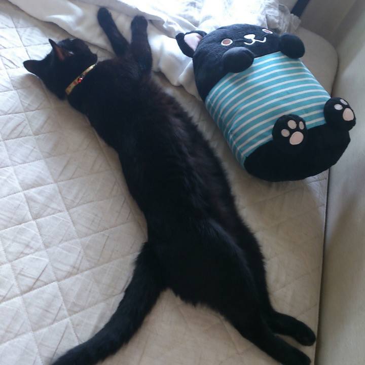 863078d8 892f 4951 847a f97f90bb4ada