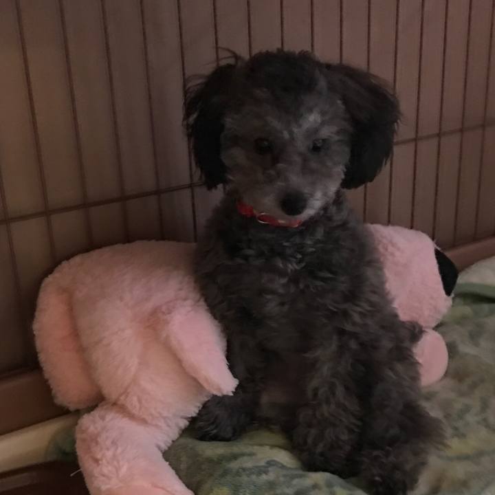 86309751 3c45 4f43 bdf2 f26ac436de96