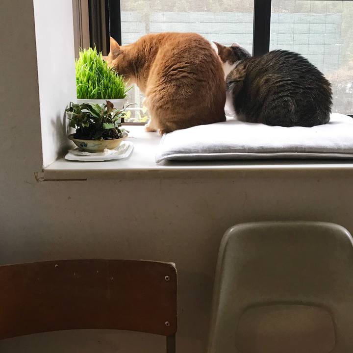 8630e386 c33d 474d 851b a13235cd2608