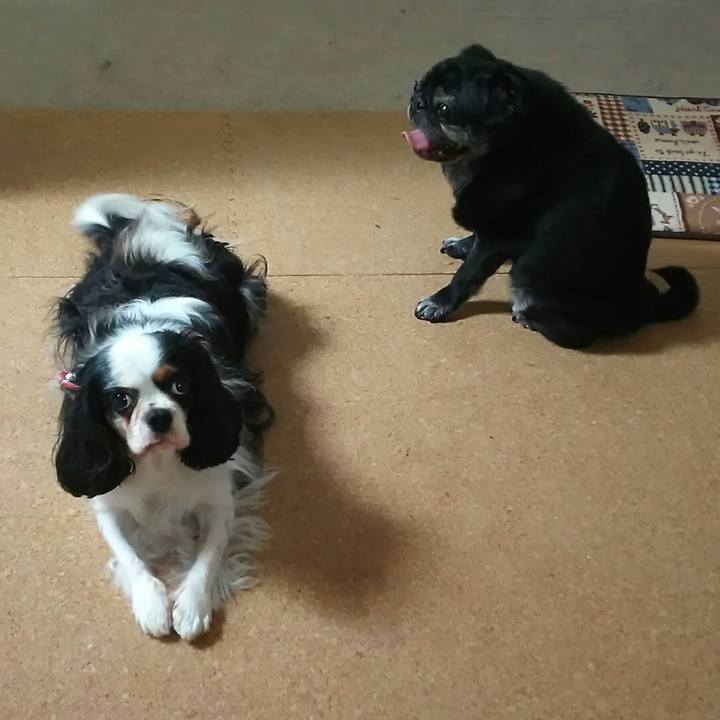 86312973 9eaf 4246 93f0 deadeae97043