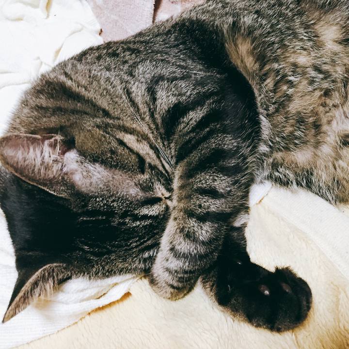 86314177 cc3d 456e b5da bd85abc07259