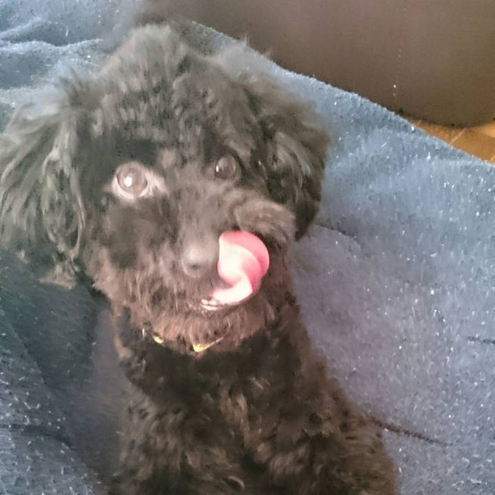 8631813c 18e8 4cfd bca2 329a303d6dd3