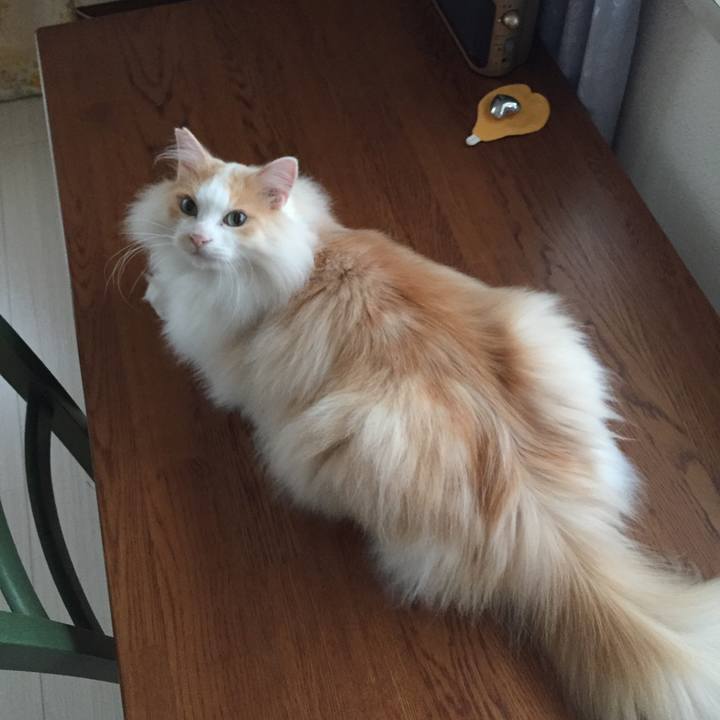 8631c35e ca97 4a14 ab9f c7a4445d74d6