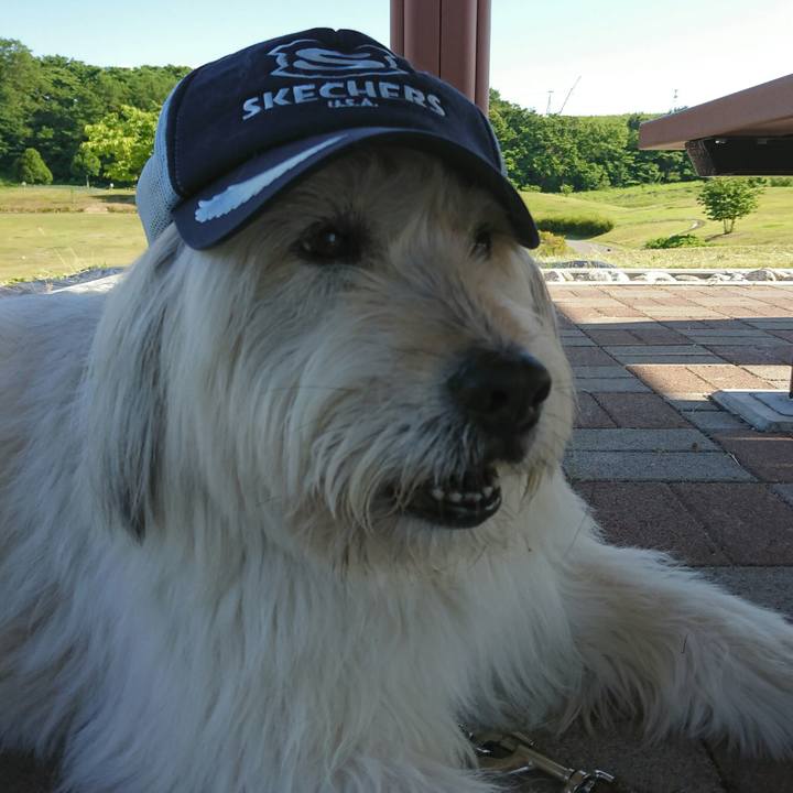 86324b4b 18ac 47cc bda5 5f09e75f2791