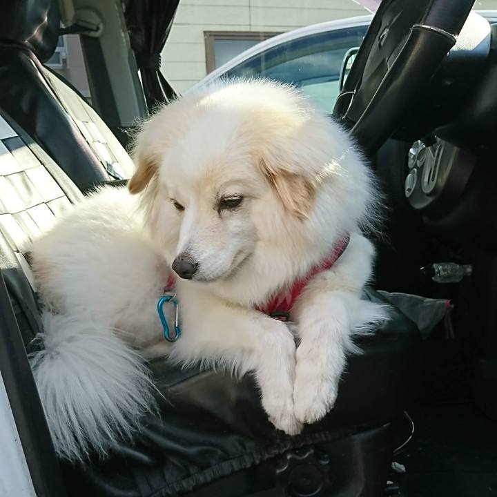 86329dd8 dd2b 48a8 b124 5a97e04f1cbc