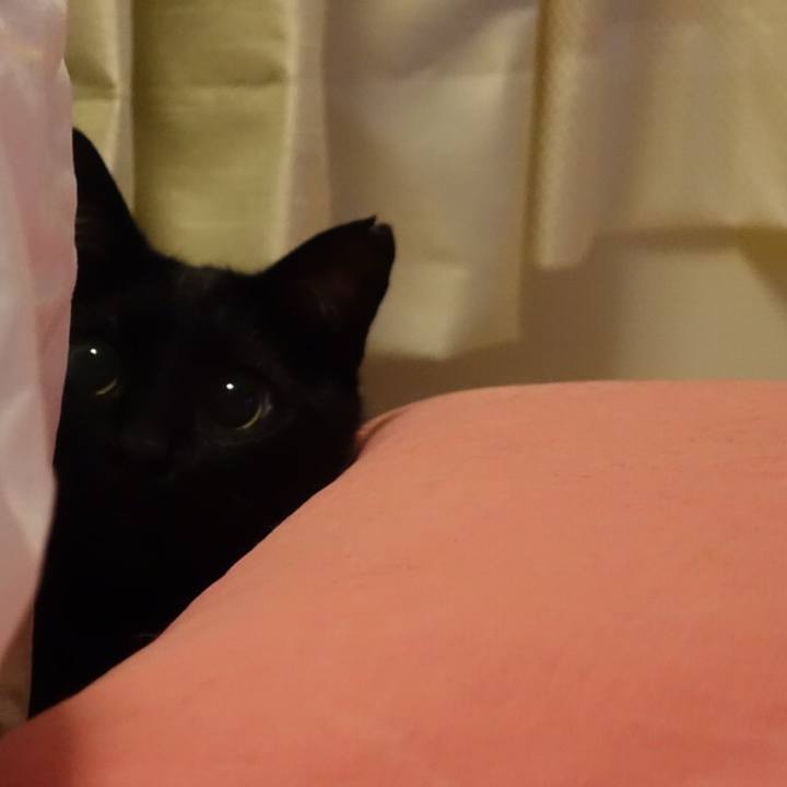 8632d72e defb 46ad 836a 12367c406392