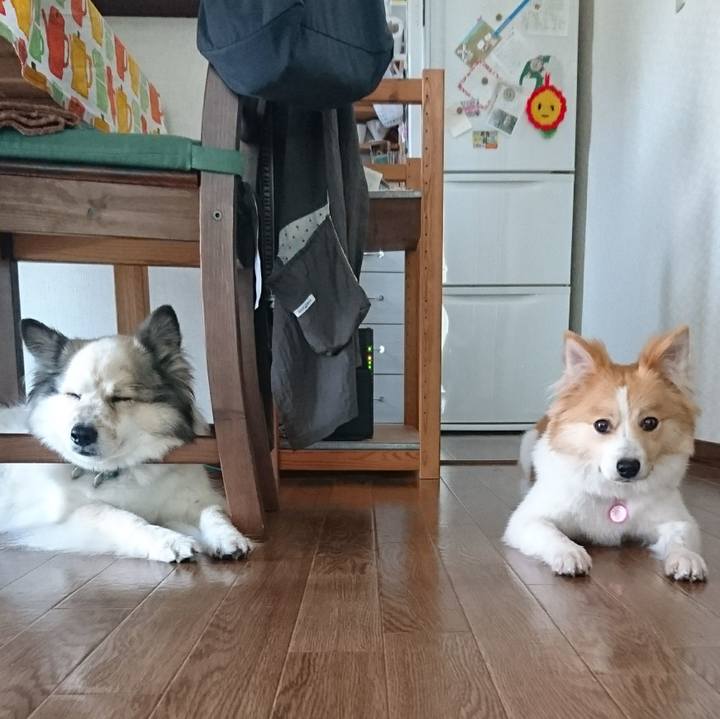 86331778 2ad3 4dab a185 8cd8c9b3054f