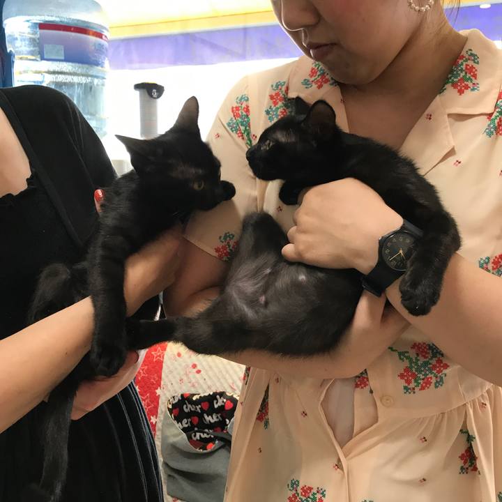 86334a93 7aff 402f 840a 3f4e71a45b27