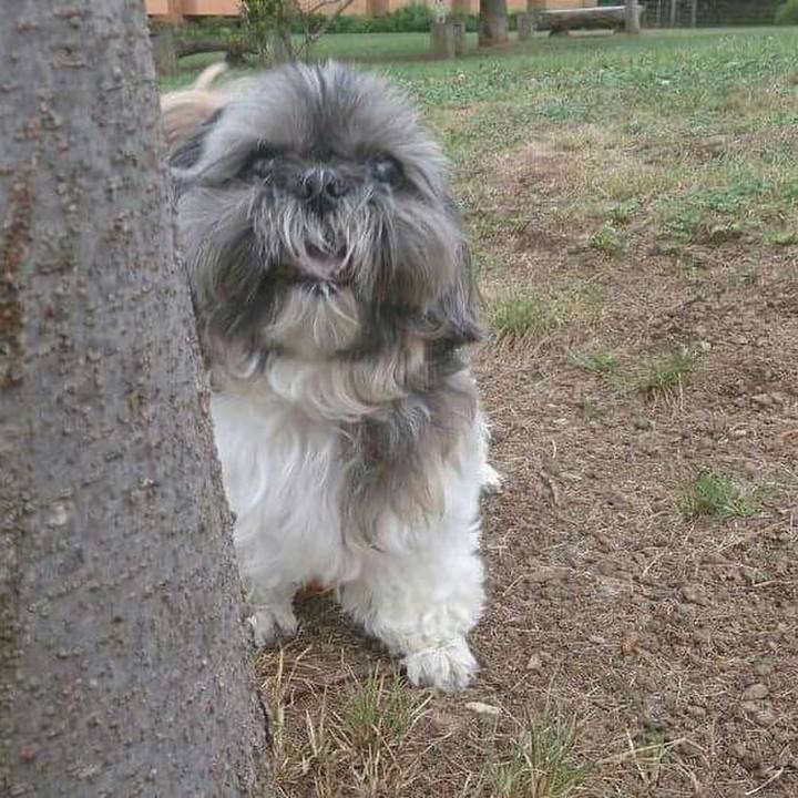 86347677 373f 4f73 afde 656db53e54fd