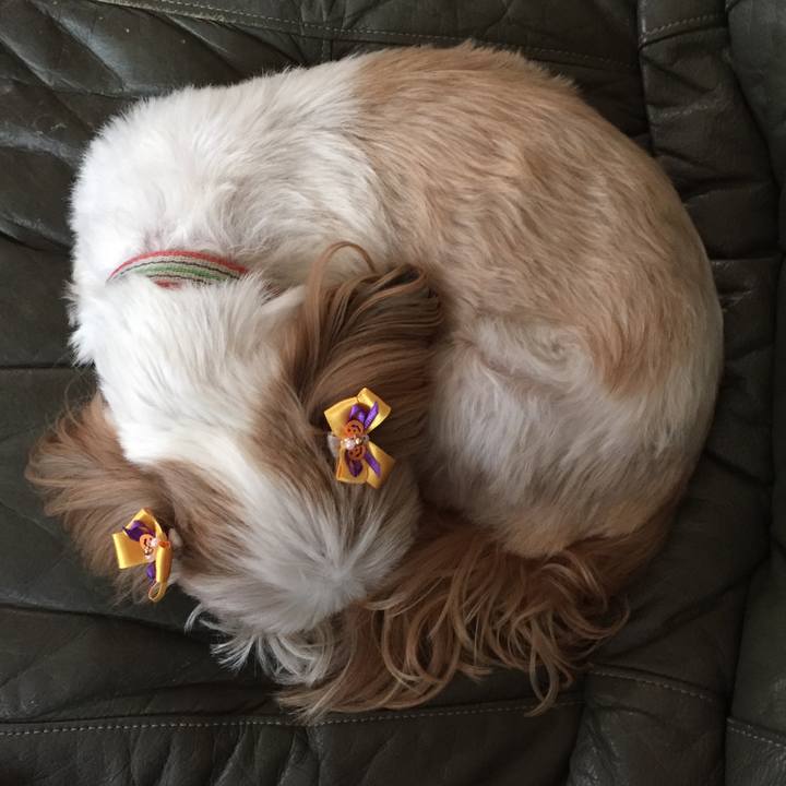 86354bca dc1d 45d5 817c e5b1e2f23de6