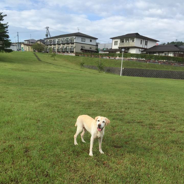 8635597f b28a 4c2d b1d6 7941de164622