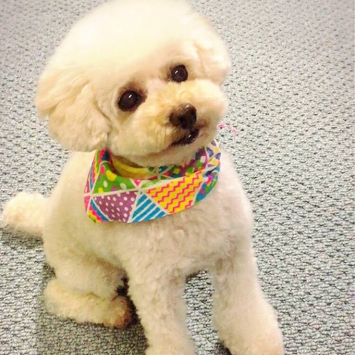 86357454 dd3f 4b4e 938d 1a1cda438057