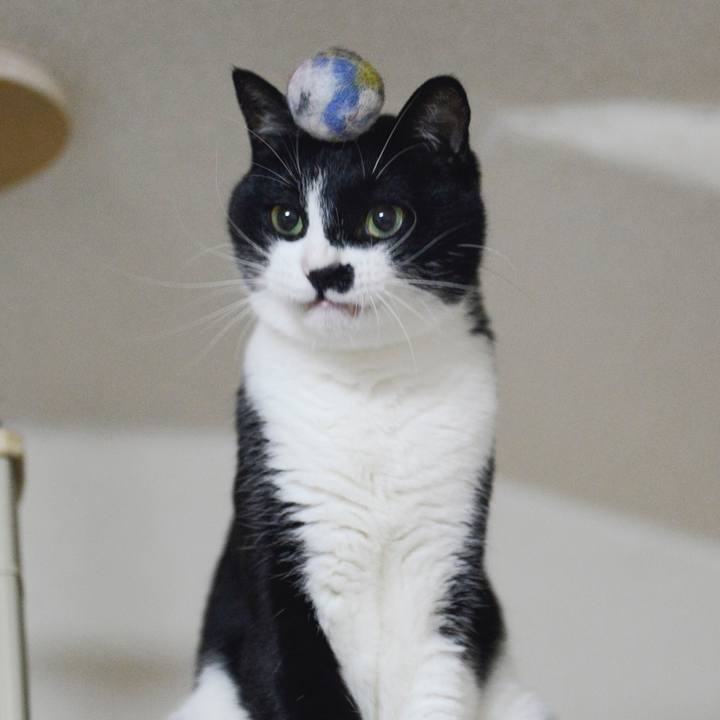 86357e36 95c5 4c3d ad64 e9297455eb4c