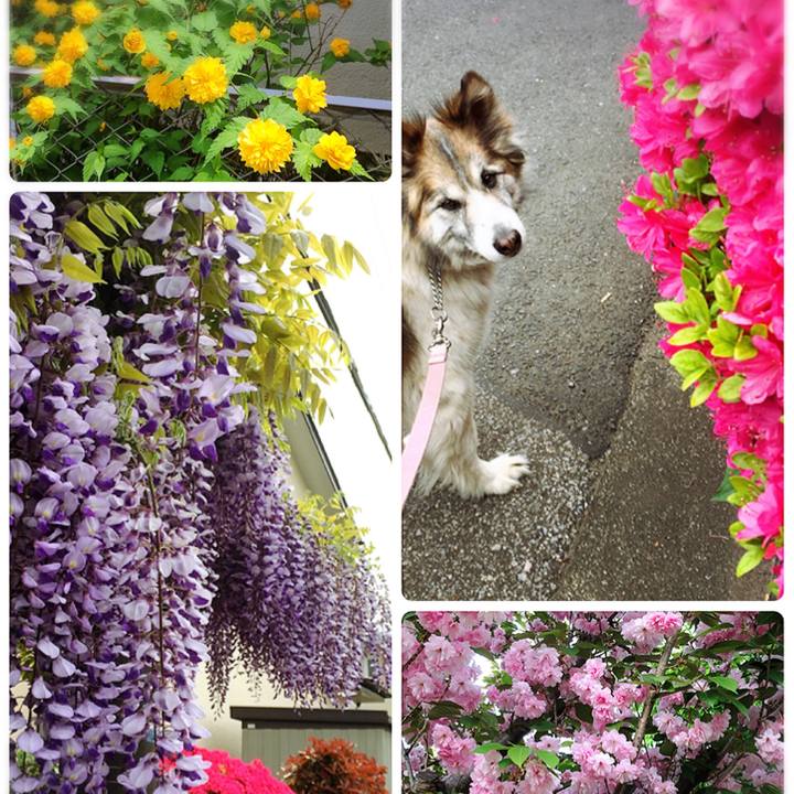 8635b8a5 aad3 478c 85e4 fa7f5abf3312