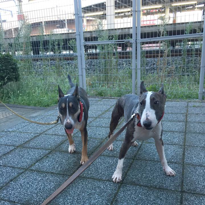 8635fb63 b11f 4b59 a090 32ba347c8d0c