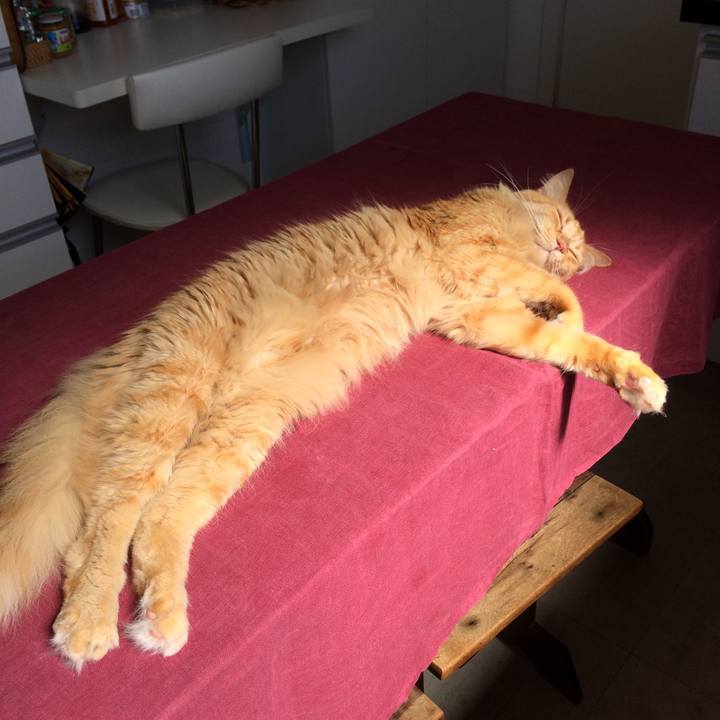 86366eeb ae42 4c23 a10f 5c121f61991f