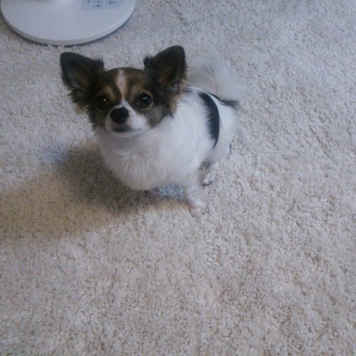 863741f2 3085 4d3c 80d2 a927bf7f902b