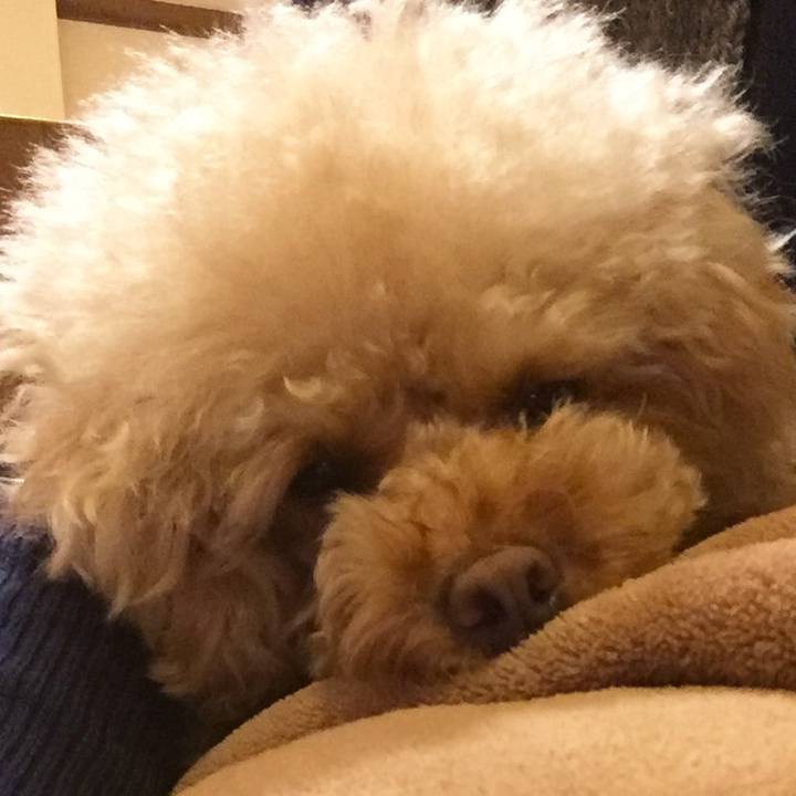 86389a07 cd29 40ce 8f40 36b7b6a3693d