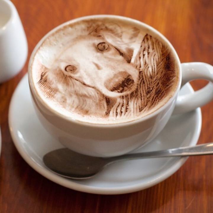 86396c41 18a4 4ea0 8912 2652a9839e41