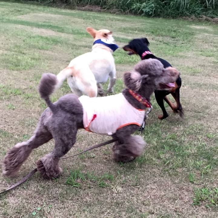 8639a81b 63dd 427d 84ec 7bf3efdf0910