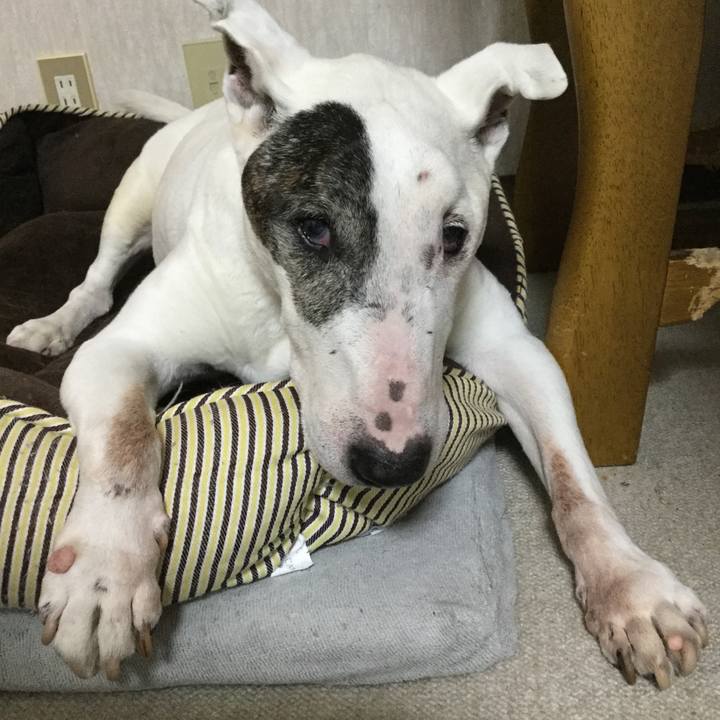 8639b366 ca22 4da9 bdd4 2add9e8ba2ae