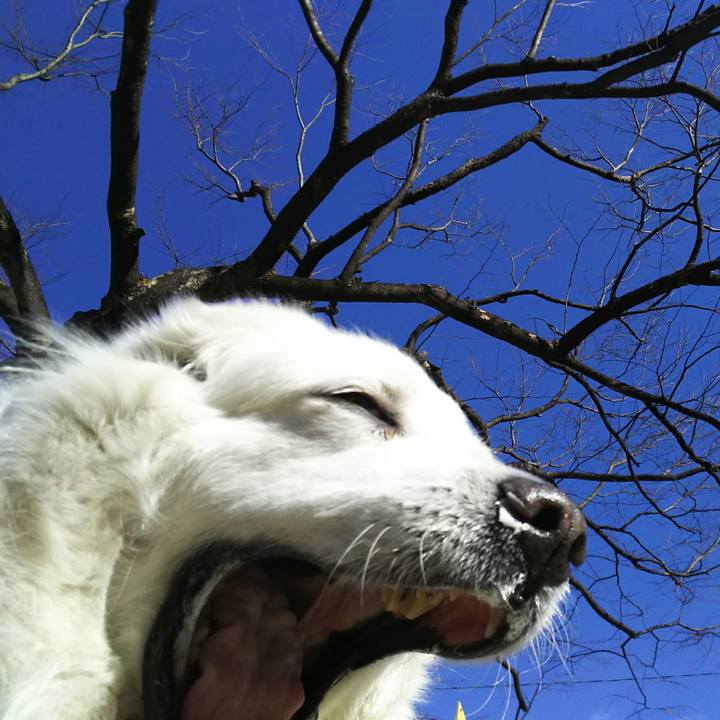 8639e7e0 5485 428f 8c30 3843aeb25fc5