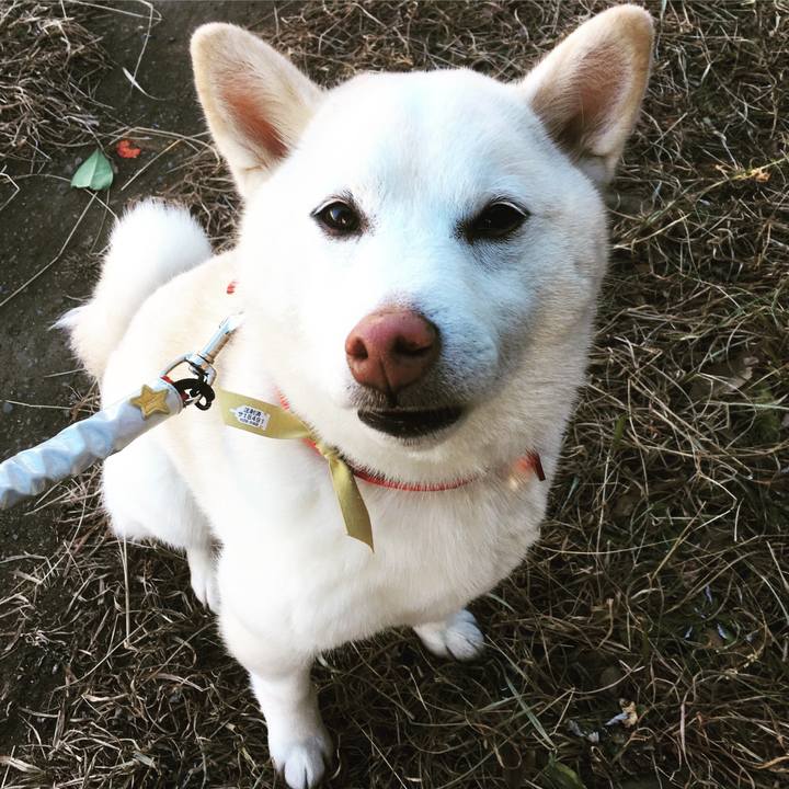 863a4a5d 1439 4bad aeda b89cf62b9c20