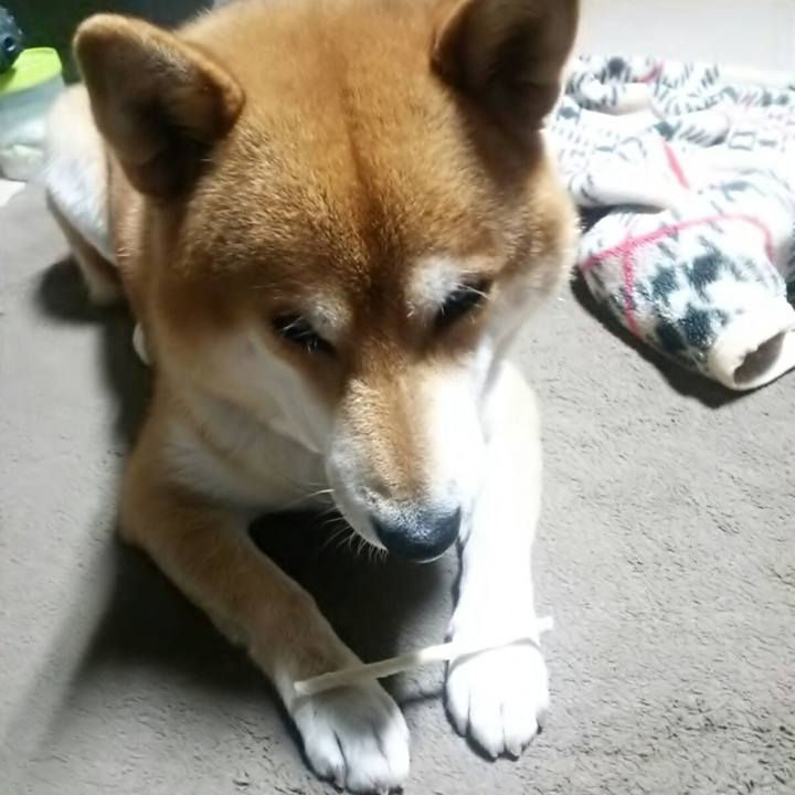 863a71ef 29f7 4803 8e20 ee5295bbf691