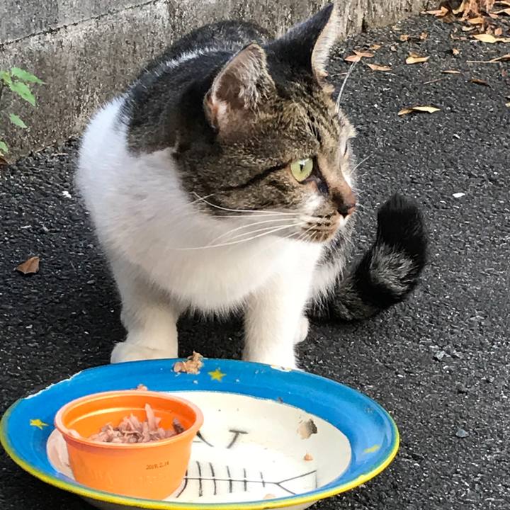 863a8fc6 2cd1 469c a105 bc7b9811d04c