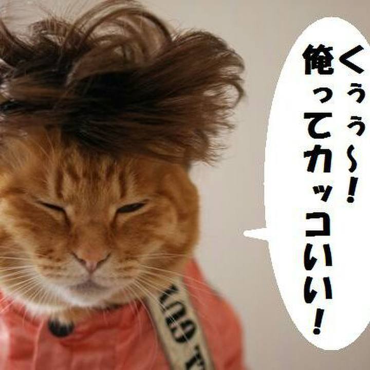 863a93f2 cba2 4b2a b2fb 694f7e6658d9