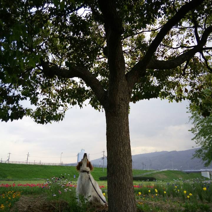 863b2409 41dc 47d4 a8d4 9a42220819b2