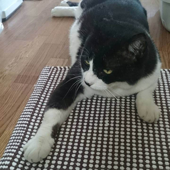 863b4f00 88ba 46e1 91fc 42d3d369c6fa