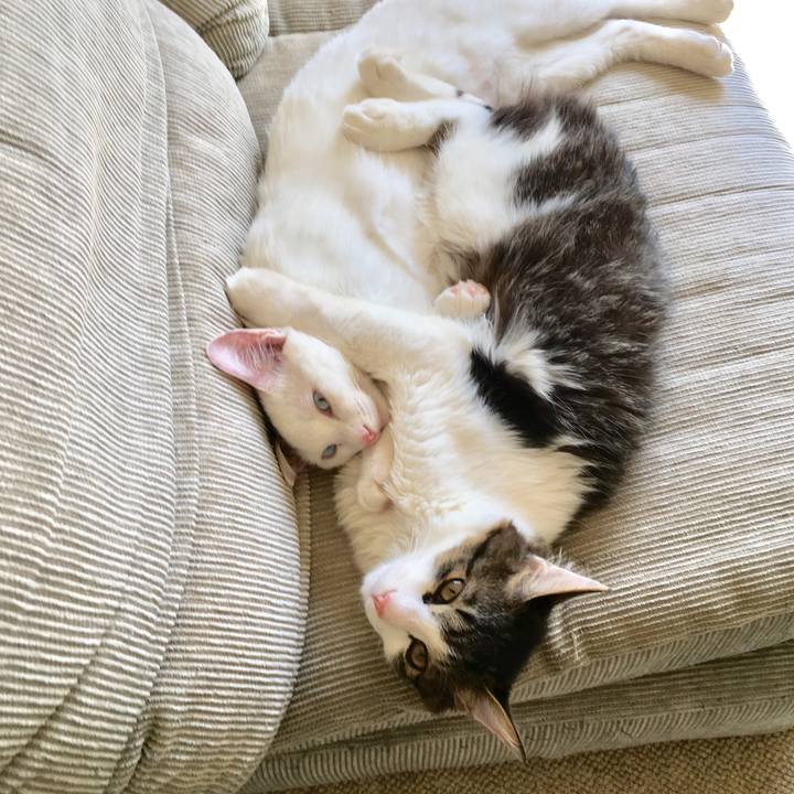 863bbffc 968a 4049 861b e585413d68f8