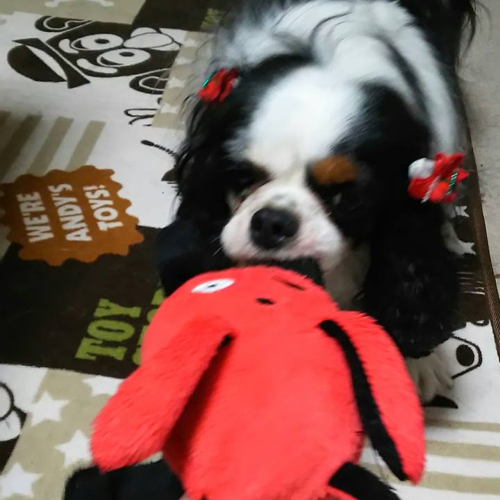 863bcb0e 5520 4ea1 b1e2 b28303673a9b