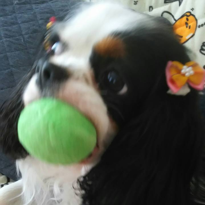 863c384a 6dbd 4443 b754 cdc12478bf2a